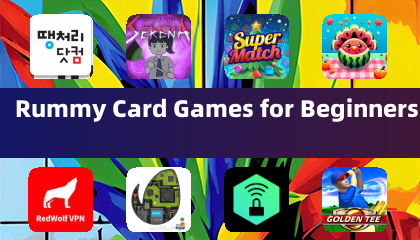 新手入门的拉密牌游戏